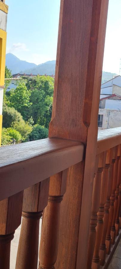 Apartamentos El Pigazu Onís エクステリア 写真